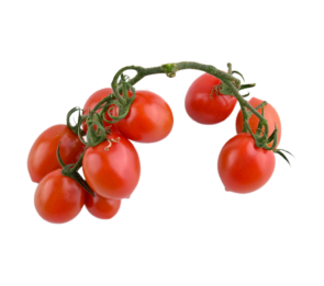 Red Cherry Tomato