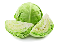 Fresh Greeny Cabbage