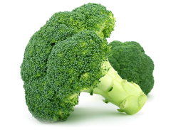 Calabres Broccoli