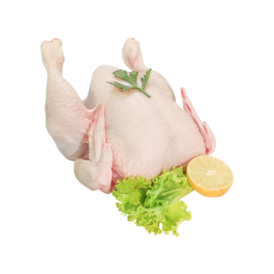 Fresh Full Chicken
