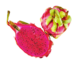Red Dragon Fruit